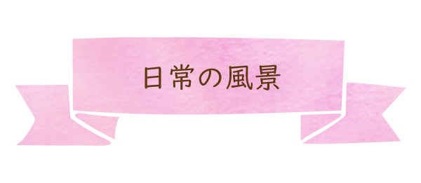 日常の風景