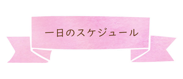 一日のスケジュール